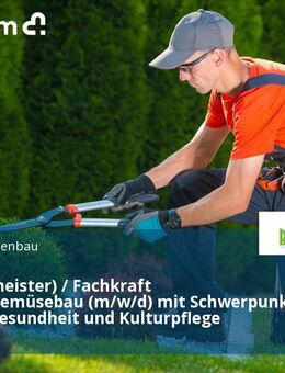 Gärtner(meister) / Fachkraft Garten-/Gemüsebau (m/w/d) mit Schwerpunkt Pflanzengesundheit und Kulturpflege - Bürstadt