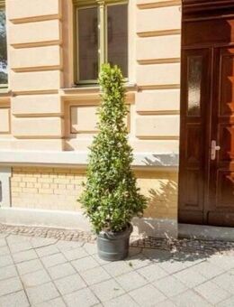 Einzug nach Kernsanierung! Stilvolle, moderne und gehobene Ausstattung in grüner Lage - Leipzig