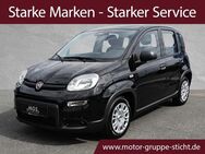 Fiat Panda, Pandina # # # #, Jahr 2024 - Wunsiedel