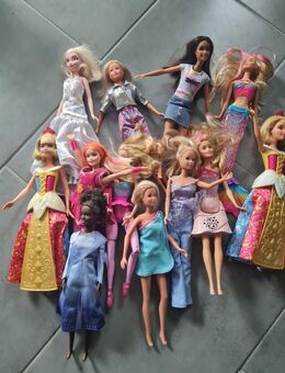 Barbies 12 Stück - Stedesand