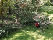 Gartenhelfer hilft in Düsseldorf und Meerbusch im Garten - Meerbusch