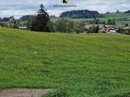 Sofort verfügbares Bauerwartungsland mit Grünland in Oberreute - Oberreute