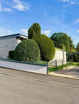 Top sanierter Traum Bungalow im Herzen von Aschaffenburg Damm - Aschaffenburg