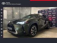 Lexus UX 250h, Style Edition, Jahr 2022 - Freising