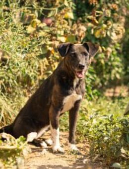 Bist du Minas sicherer Hafen? - München