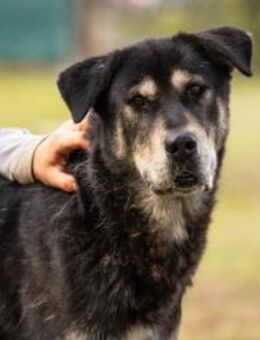 MATZE - alles was Spa? macht... - Overath