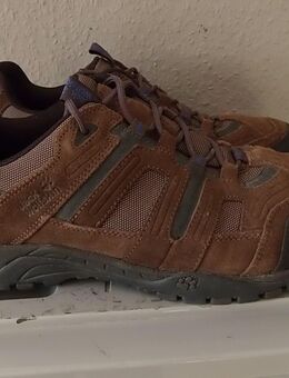 Jack wolfskin Herren Multifunktionsschuhe Gr 45 wie Neu - Dortmund