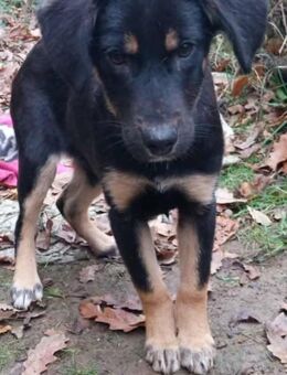 Süße Tani möchte eine Familie - Berlin