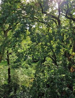 22399 HH-Poppenbüttel: Sehr schöne, helle, uneinsehb., möbl. Whg., Blick über Alstertal - Hamburg