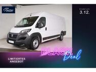 Fiat Ducato, 2.2 M-Jet L5H2 MAXI, Jahr 2024 - Pilsach