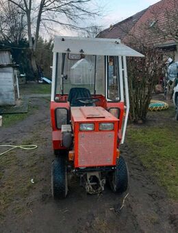 Hako 2000 d oder v / Klein Traktor / Klein Schlepper - Güstrow