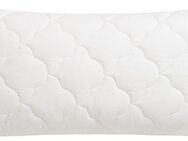 Beco Kopfkissen EcoWell, Füllung: Polyester, Bezug: Bio-Baumwolle oder Microfaser-Feinbatist samtweich, Rückenschläfer, Seitenschläfer, Kissen in den Größen 40x80 cm und 80x80 cm erhältlich!