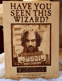 Harry Potter: Sirius Fahndungsposter Brandmalerei A4 - Bietigheim-Bissingen