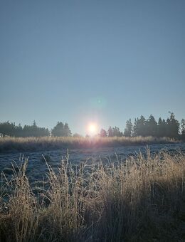 Wo bist Du - Landshut Zentrum