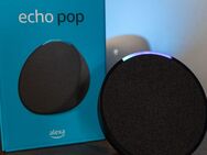 Alexa Echo Pop 2 Stück - Querfurt