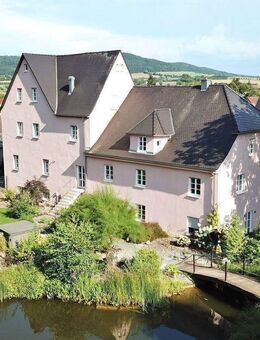 Historische Mühle im Herzen von Eggolsheim, Arbeiten und Wohnen mit 860 qm WF und 4.404 qm Grund - Eggolsheim