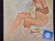 The Model by Fritz Willis - Plauen