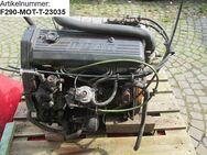 Fiat Ducato Motor 2,5 Liter Diesel Turbo (Fiat 290) BJ90 (7450417 - Schotten Zentrum