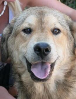 Menschenbezogene, liebe Praha - Kallmünz