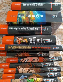 Die drei Fragezeichen ??? Bücher - Berglen