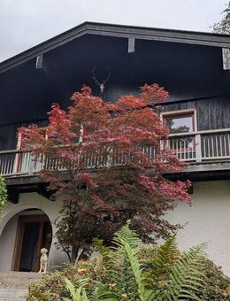 Künstler-Chalet in ruhiger Hanglage mit Restbaupotenzial - Fischbachau