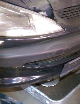 Peugeot 206 Schlachtfest Bremssattel vorne li. o. rechts - Bocholt Zentrum