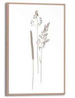 Reinders! Bild mit Rahmen Dried Flowers