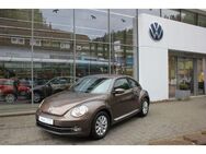 VW Beetle Lim. Design 1.2 TSI BT,NSW,Klima,SHZ - Wildberg (Baden-Württemberg)