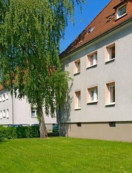 Demnächst frei! 1-Zimmer-Wohnung in Gelsenkirchen Buer - Gelsenkirchen