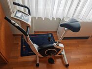 Hometrainer Cardio T2 von Hammer - Erftstadt