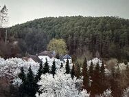 Villa in der malerischen Pfalz, im Städtedreieck Bad Dürkheim-Neustadt-Kaiserslautern - Frankenstein
