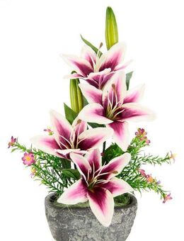 Kunstpflanze Lilien, I.GE.A., Höhe 42 cm, Arrangement im Topf