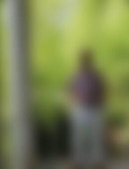 Dal*** - Freudenstadt