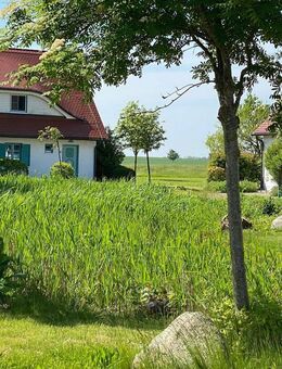 provisionsfreie Ferienwohnung nahe Strand - direkt vom Eigentümer - Dranske