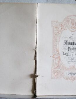 Noten antiquarisch Grieg.../ Gesänge und Lieder - Hamburg