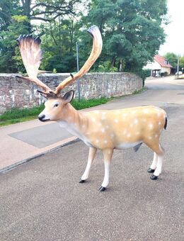 Dammhirsch Hirsch lebensgroß Dekofigur Gartendeko NEU - Hergisdorf
