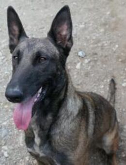 aufgeweckte Gina sucht - Kallmünz