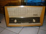 Blaupunkt Röhrenradio Florenz - Garbsen