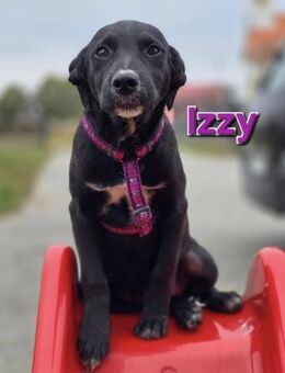 Izzy ❤️ - Kissing
