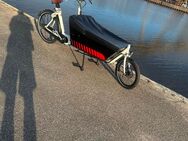 Bakfiets Cruiser Long StePs Maxi - Wiefelstede