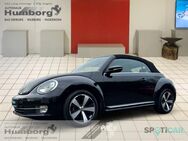 VW Beetle, 1.4 TSI Design Cabriolet Desig, Jahr 2016 - Paderborn