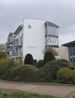 Mitten in Bünde mit Elseblick: schöne 3-Zimmer-Wohnung mit Balkon - Bünde