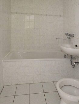 Hier stimmt der Preis - Halle (Saale)