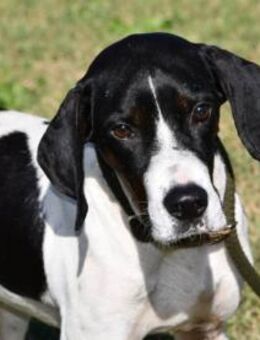 Ash möchte Ihnen Vertrauen schenken - Neuss