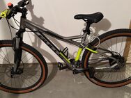 Bulls Trekkingrad - Ergolding