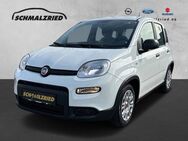 Fiat Panda, 1.0 Base Mild Hybrid el SP Spieg beheizbar teilb Rücksb, Jahr 2023 - Bremerhaven