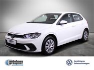 VW Polo, 1.0 Life, Jahr 2024 - Brandis