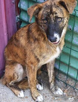 Chelsea wünscht sich ein tolles Leben! - Beltheim