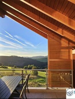 Schöne Penthouse-Wohnung an den Postwiese Pisten von Neuastenberg - Winterberg