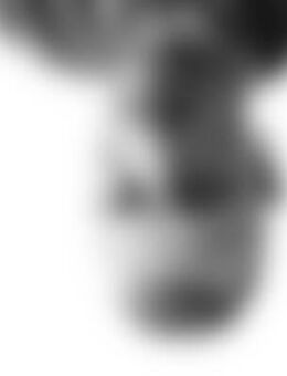 Mic*** - Stendal (Hansestadt)